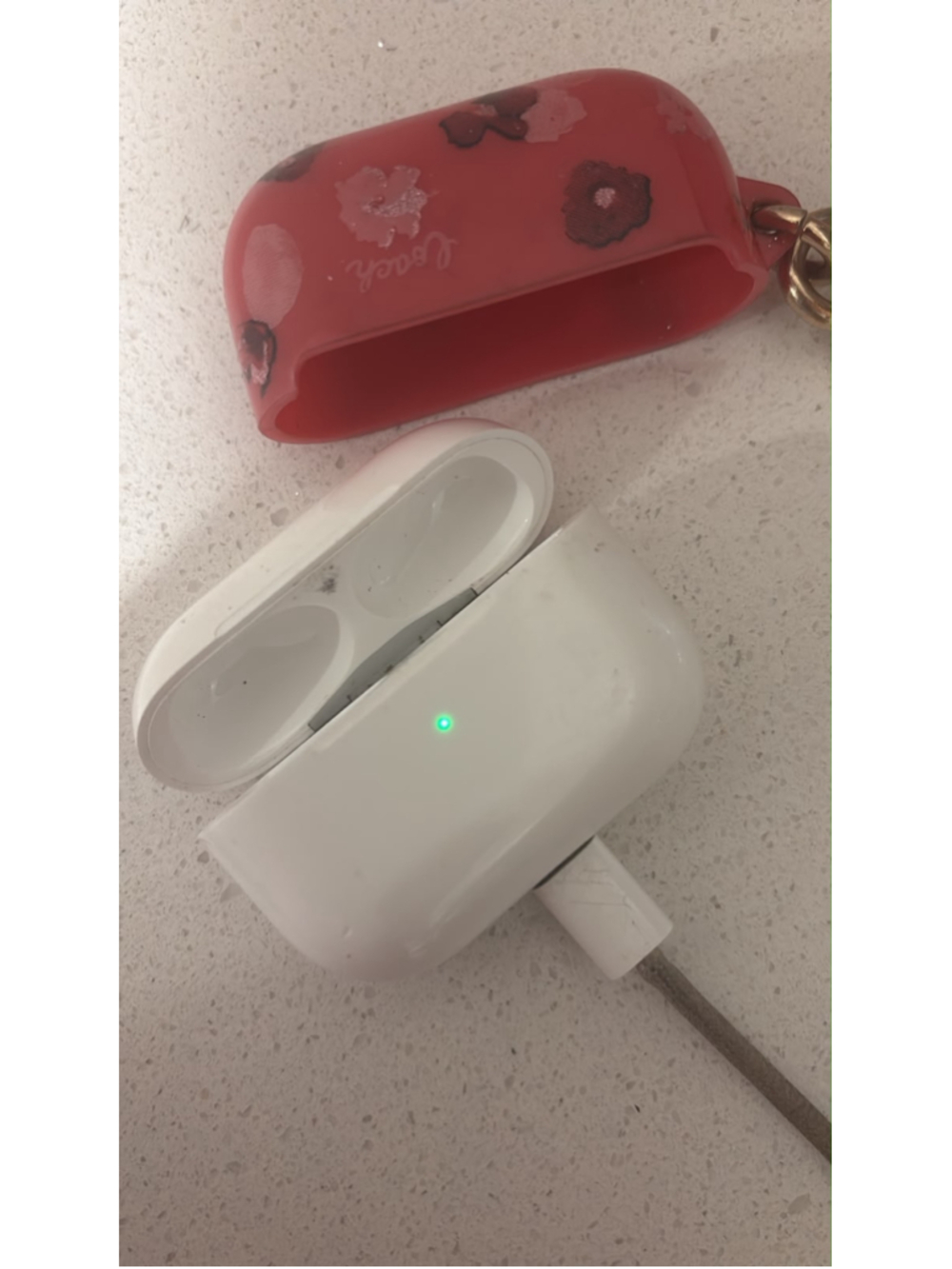 AirPods Pro Charging Case Only + Coach Floral Keychain Cover No Earbuds #N34A